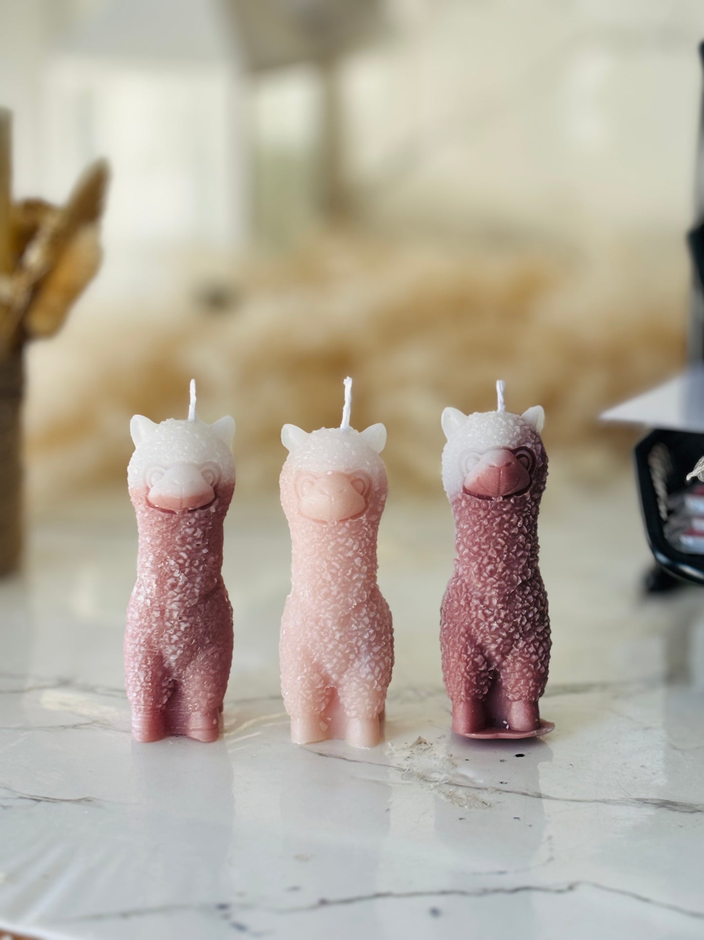 Vela alpaca souvenir
