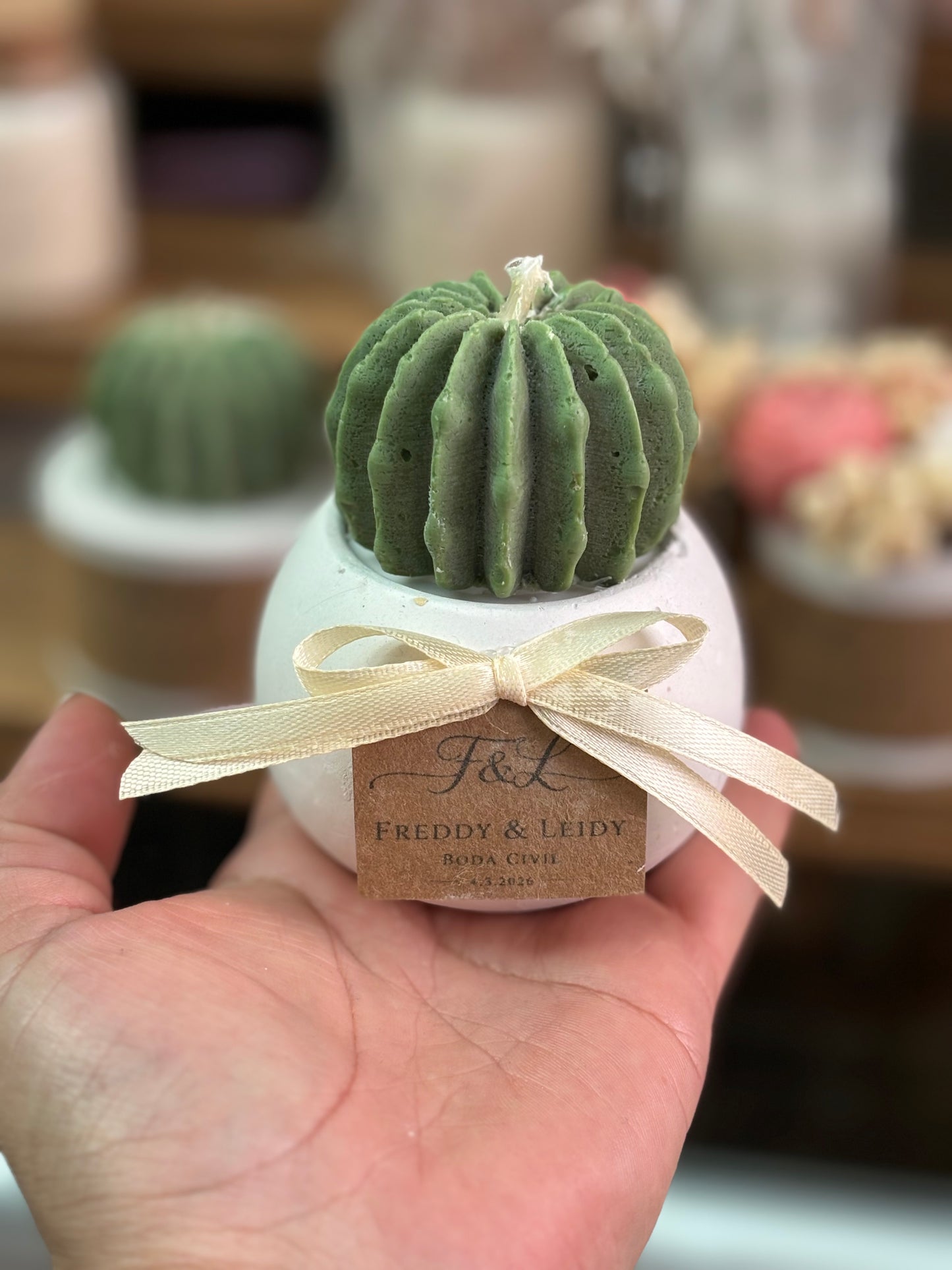 Suculenta + tarjeta personalizada