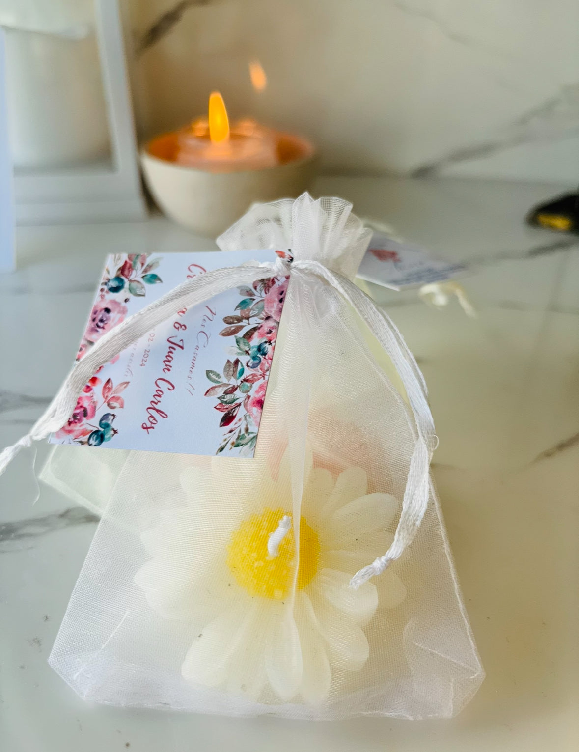 Pack 12 margaritas + tarjeta personalizada + bolsa organza