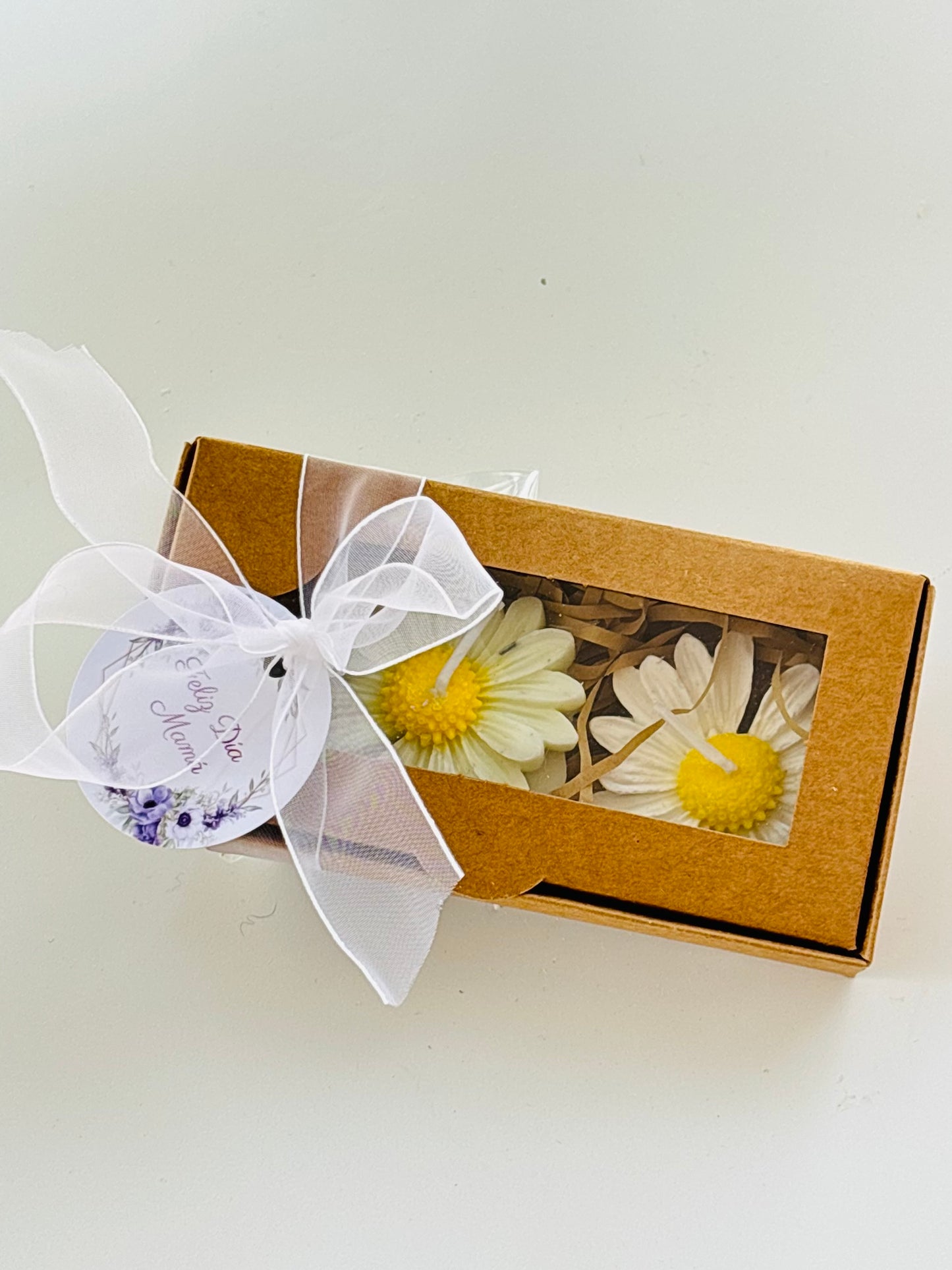 Pack 2 velas margaritas flotantes
