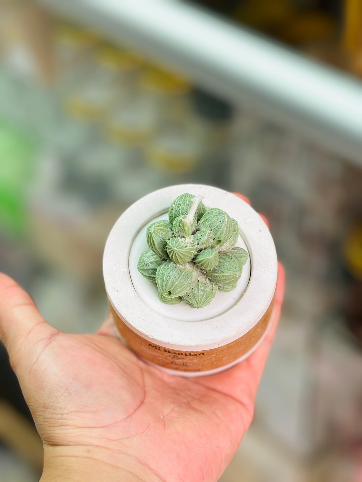 Cactus vela + maceta + personalización docena